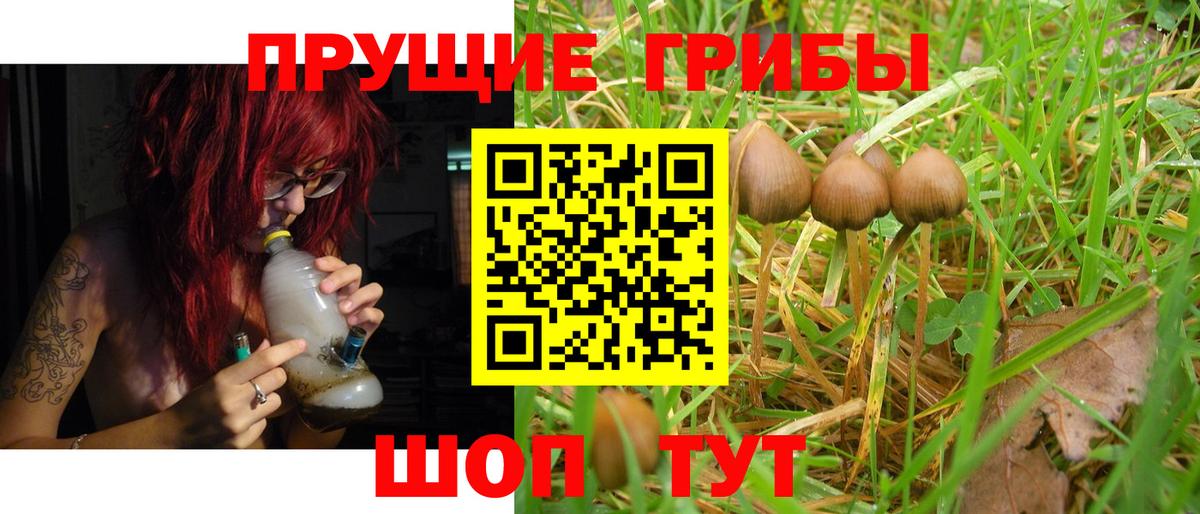 Бутурлиновка  Псилоцибиновые грибы мицелий  Вход с VPN 